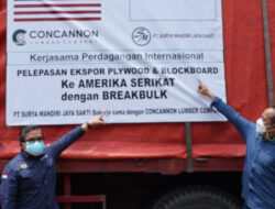 Inovasi Breakbulk, tingkatkan daya saing plywood Indonesia