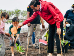 Kendalikan abrasi, Presiden Jokowi tanam mangrove di pulau terdepan Bengkalis