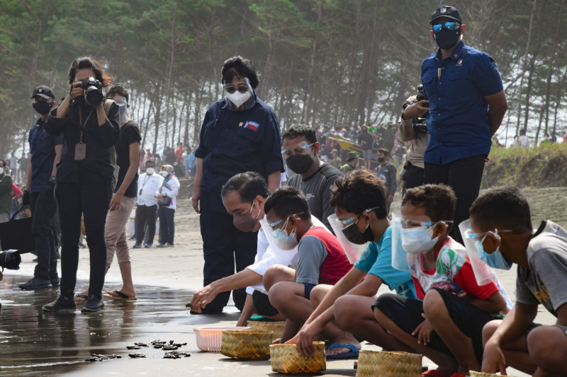 Presiden Joko Widodo lepasliarkan 1.500 ekor tukik di Pantai Kemiren Cilacap