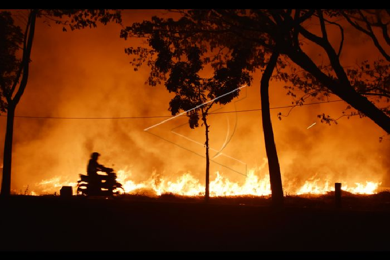 Patahkan prediksi, Indonesia berhasil cegah bencana asap karhutla dua tahun berturut-turut