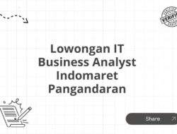 Lowongan IT Business Analyst Indomaret Pangandaran