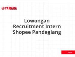 Lowongan Recruitment Intern Shopee Pandeglang