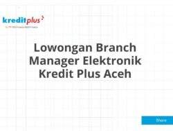Lowongan Branch Manager Elektronik Kredit Plus Aceh
