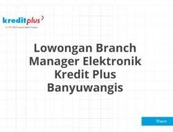 Lowongan Branch Manager Elektronik Kredit Plus Banyuwangis