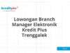 Lowongan Branch Manager Elektronik Kredit Plus Trenggalek