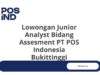 Lowongan Junior Analyst Bidang Assesment PT POS Indonesia Bukittinggi