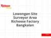 Lowongan Site Surveyor Area Richeese Factory Bangkalan