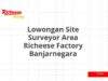 Lowongan Site Surveyor Area Richeese Factory Banjarnegara