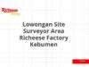 Lowongan Site Surveyor Area Richeese Factory Kebumen
