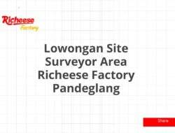 Lowongan Site Surveyor Area Richeese Factory Pandeglang