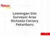 Lowongan Site Surveyor Area Richeese Factory Pekanbaru