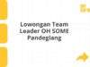 Lowongan Team Leader OH SOME Pandeglang