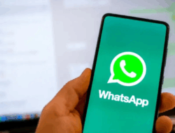 WhatsApp: Fitur Status Baru, Langsung dari Grup WA!
